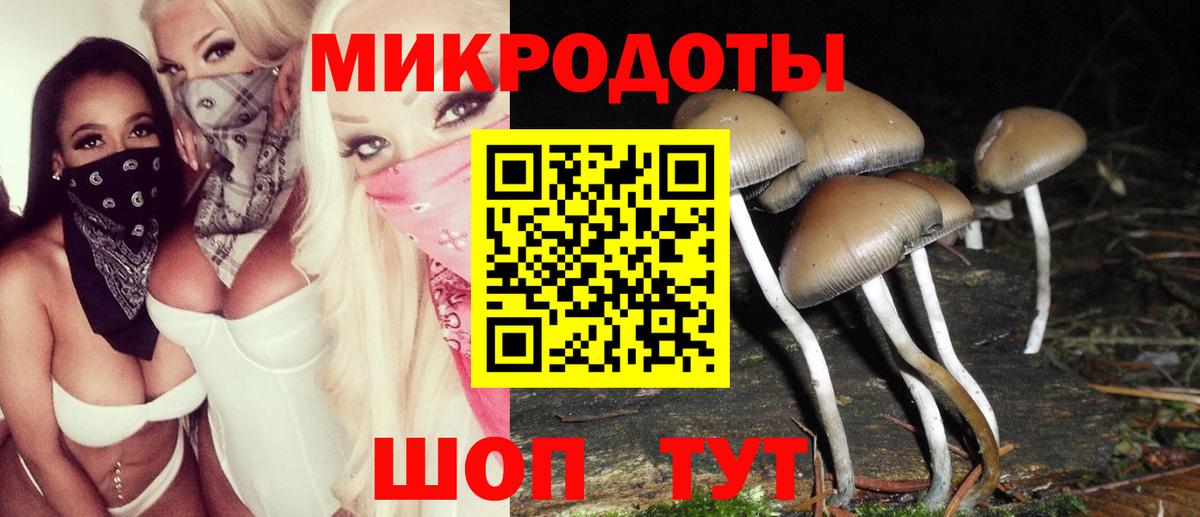 Галлюциногенные грибы мухоморы Апрелевка