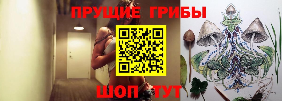 Псилоцибиновые грибы GOLDEN TEACHER  Вход с VPN  закладка  Апрелевка 